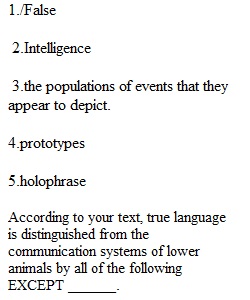 Chapter 7 Quiz